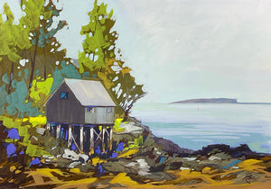 Low Tide