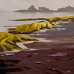 Tide Trails