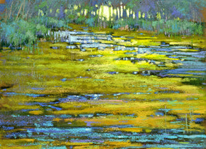 Mill Pond
