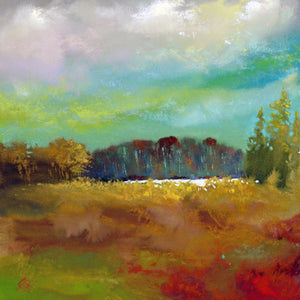 The Pond